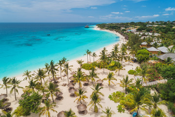 Aerial view of palms on the sandy beach of Indian Ocean at sunny day. Summer holiday in Zanzibar, Africa. Tropical landscape with palm trees, white sand, blue water, hotels. Top view of sea coast