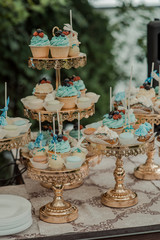 sweets cake desserts at the wedding buffet