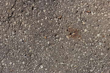 wet asphalt texture