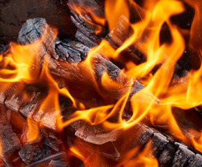 burning wooden logs and large orange flame