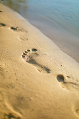 Man footprint on wet sand close up. Selective focus