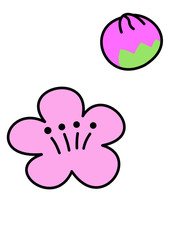 桃の花(桃色線)