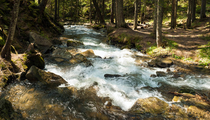 Mountain river in the mountains of the Carpathians in early spring. Small river deep in the forest in the rays of the spring sun.