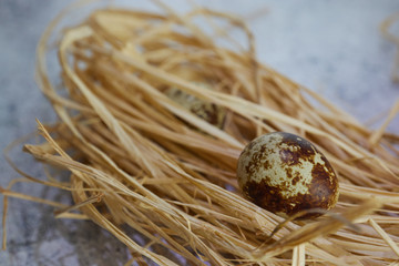 Obraz premium raw quail eggs in hay. country style. group of fresh quail eggs on light concrete. Copy space.