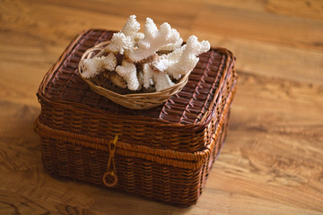 Fototapeta na wymiar Basket with White Sea Coral