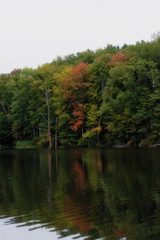 Colorful autumn/fall foliage in a forest on a lake in new england. Colors of red orange and green.