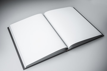 Empty white book