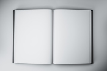 Blank white book