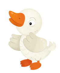 cartoon scene with duck on white background - illustration for children