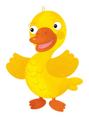 cartoon scene with duck on white background - illustration for children