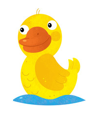 cartoon scene with duck on white background - illustration for children