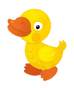 cartoon scene with duck on white background - illustration for children