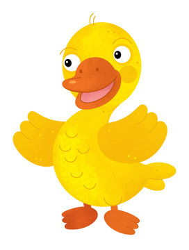 cartoon scene with duck on white background - illustration for children