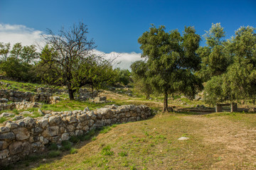 park outdoor scenic landscaping natural environment with green sunny lighting and old stone wall exterior object space for promenade or walking in fresh air