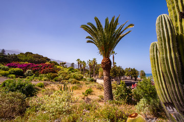 Playa Jardin – Puerto de la Cruz einer der schönste Strände auf Teneriffa.