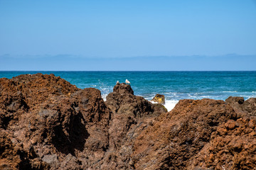Fototapeta na wymiar Der Strand „Playa Jardin“, ein schwarzer Sandstrand, liegt im Norden von Teneriffa in Puerto de la Cruz.