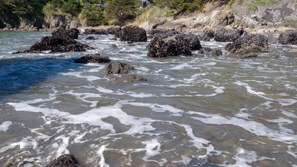 Seashore Image