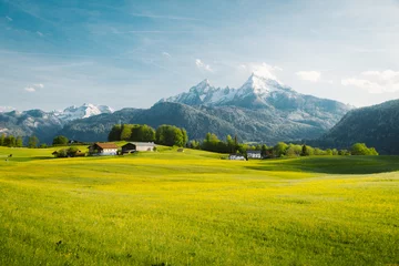 Foto op Aluminium Idyllisch landschap in de Alpen met bloeiende weiden in de lente © JFL Photography