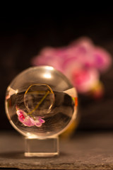BOULE 