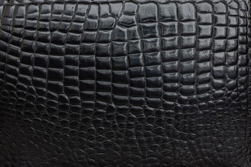 varnished crocodile leather