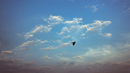 beautiful sky and clouds