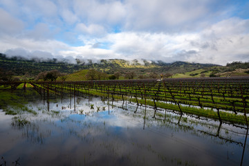 Storming morning over the Napa Valley