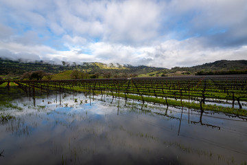 Storming morning over the Napa Valley