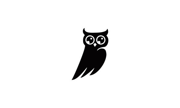 calm owl logo