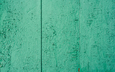 Background of green wooden surface