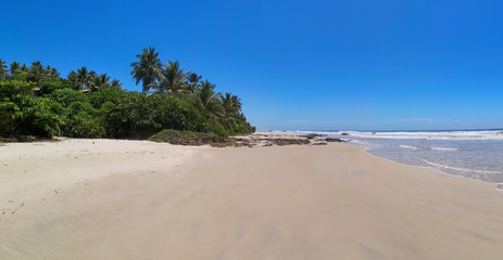 Tropical landscape - deserted beach with coconut trees and rocks