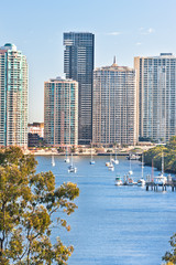 Fototapeta na wymiar Brisbane City with trees and river besides huge buildings