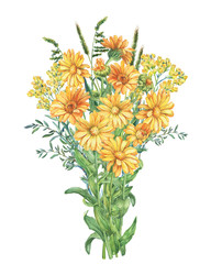 Summer bouquet of calendula, herbs and immortelle flowers. Watercolor hand drawn painting illustration isolated on a white background.