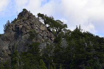 cima de un elevacion pequeña con bosques