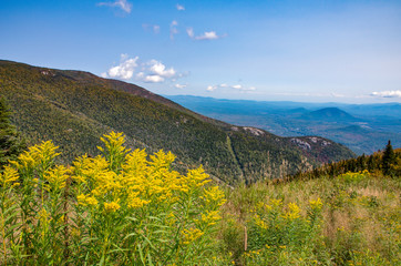 Whiteface mountain