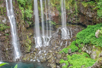 Obraz premium view on waterfall with jungle on mauritius island