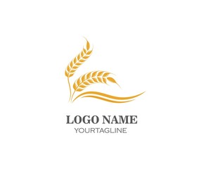 Agriculture wheat Logo Template vector icon
