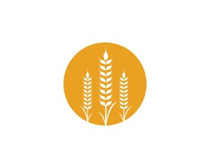 Agriculture wheat Logo Template vector icon