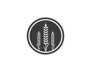 Agriculture wheat Logo Template vector icon