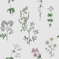 Meadow flowers vector seamless pattern