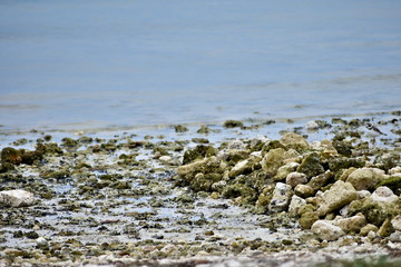Rocks on Water Shore