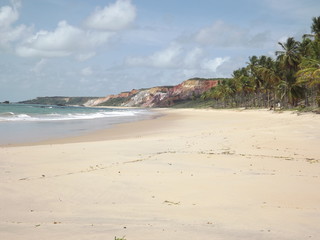 Praia do Gunga - Alagoas