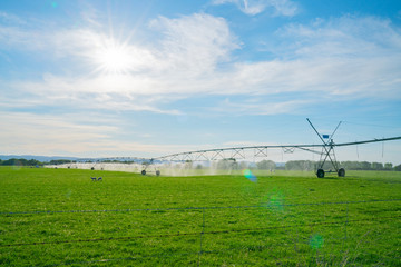 Fototapeta na wymiar Irrigation system system running on a farm in Central Otago