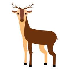 deer flat illustration