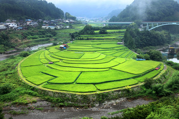 和歌山-あらぎ島