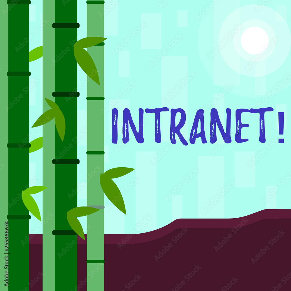 Poster writing note showing intranet. business concept for private network of a company interlinked local a