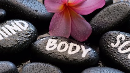 Mind, body, soul. Frangipani, black stones. Zen peaceful concept.