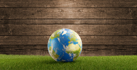 blue earth on green grass field in front of wood background 3d-illustration. elements of this image furnished by NASA
