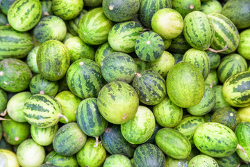 View of fresh ripe green small watermelons. Fruit background