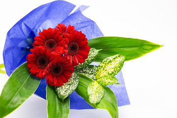 赤い5本のガーベラの花束