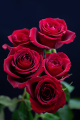 5本の真紅のバラ